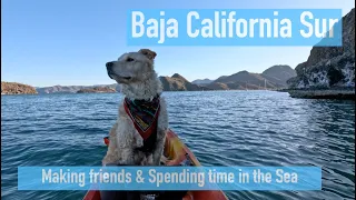 Van Life in Southern Baja