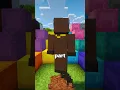 DO NOT USE SHULKER BOXES IN MINECRAFT