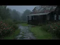 Soft Rain Serenity 🌧️ Rain Sounds for Sommeil Calme & Inner Peace 🌿