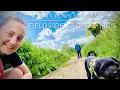 A Walk Down Memory Lane - Fields of Crops IBC s