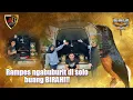 Lagu Rampes ngabuburit ke solo buang BIRAHI!!!