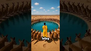 اخويا نزل حمام الثعلب وانا نزلت حمام الفهد وماما حمام الكانجرو وبابا حمام الزرافة Viral  اخويا نزل حمام الثعلب وانا نزلت حمام الفهد وماما حمام الكانجرو وبابا حمام الزرافة Viral