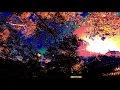 Heartaches - Shallou (HD, NYC, Official Audio, No Ads)