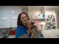 PetVet Commercial