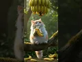 Download Lagu See the way the cat eats the banana! #cat #trendingshorts #cute