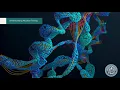 Mastering Mutation Testing - Uncover the True Power of Your Test Cases