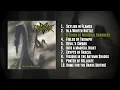 Download Lagu Desaster - A Touch of Medieval Darkness (Full Album)