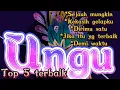 Download Lagu 5 lagu Ungu pilihan+lirik
