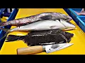 Download Lagu 방어 참돔 강도다리 회뜨기 delicious sashimi