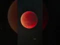 Download Lagu Mama Live! Tijdens de maansverduistering van gisteravond