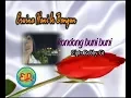 Download Lagu Lagu Karo - Rondong Buni Buni - Erwina Hani Br Bangun