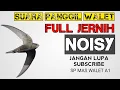 Download Lagu Suara panggil walet jernih tanpa noisy #rbwmini #rumahwalet #parfumwalet