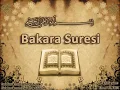 Mahir İl Maigli  ( BAKARA SURESİ )