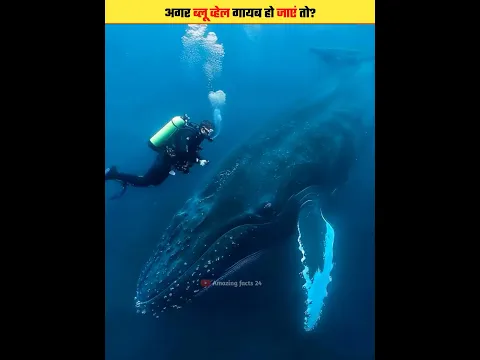 What If All Blue Whales Suddenly Disappeared? #shorts