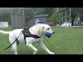 Tour of RPD K-9 Facility