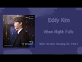 Download Lagu 에디킴 Eddy Kim – When Night Falls Han|Rom|Eng While You Were Sleeping OST Part 1