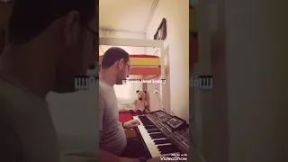 البزق والعصفور  جديد             دندنها