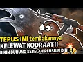 Download Lagu BURUNG TEPUS INI NEMBAKNYA KAYAK LAGI DEBAT SAMA MANTAN‼️ 🤣🔥