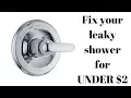Fix a leaky Delta Single-handle shower faucet for UNDER 2