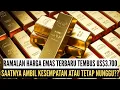 Download Lagu Benarkah Harga Emas Dunia Akan Cetak Rekor Baru?? Apakah Akan Terus Naik??