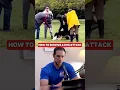 How to Survive a Dog Attack