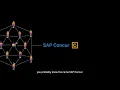 What Does SAP Concur Do