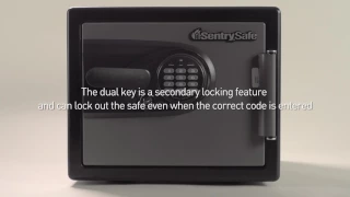 How to Open a Sentry Safe Basic Electronic Lock and Dual Key Fire Safe