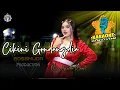 Download Lagu CIKINI KE GONDANG DIA KARAOKE || VERSI DUTA BOSS MUDA