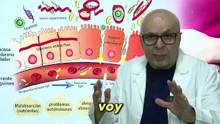 Clínica Dr Vega - La Alternativa Natural