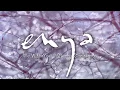 Download Lagu Enya - We Wish You A Merry Christmas (Official Audio)
