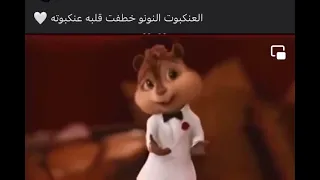 العنكبوت النونو خطفت قلبه العنكبوتة    دندنها