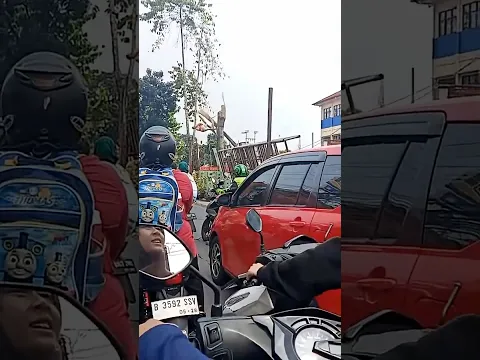 Detik detik penebang pohon terpental