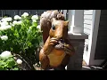 Iced Coffee and Giant Squirrels at North Star Cafe in Indian River Michigan