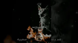 ماجتني الدنيا على الكيف ياذيب 