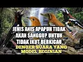 Download Lagu TERAPI ANIS MERAH CEPAT BUNYI || PANCINGAN SEMUA JENIS PUNGLOR || KICAUAN ANIS KEMBANG ANIS CENDANA