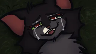 Hollyleaf s Death CW BLOOD EMOTIONAL