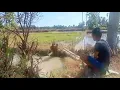 Download Lagu Wahai ikan kampret🤣🤣