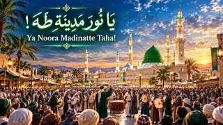                                             يا نور مدينة طه   أناشيد اسلامية دندنها