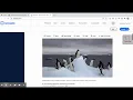 Newsela Article Instructions