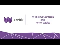 Webix UI Controls and Form basics