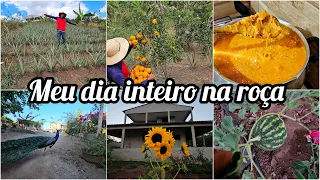 Um dia inteiro comigo aqui no sítio//limpeza do abacaxi e do jardim//pescaria de tilapias
