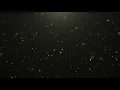 Gold Colored Particles on black Background 4K