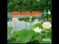 Download Lagu Siva audio stereo 🎶