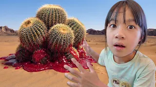 ฉันโดนหนามต้นกระบองเพชร 😧 บริ้งค์ไบรท์