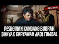 Download Lagu GAK KEBAYANG SEREMNYA!! TERNYATA INI SYARAT PESUGIHAN KANDANG BUBRAH?!! IBU \u0026 ANAK MENINGGAL TRAGIS