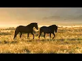 Download Lagu Instrumental Acoustic Folk Music, Guitar Folk, Relaxing Folk Music \