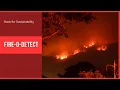 Forest Fire Detection She the Force - Hack for Sustainability