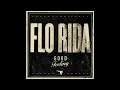 Flo Rida - Good Feeling (Audio)