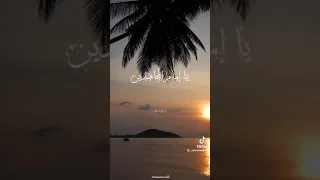 الشيخ المنشاوي يبتهل   الصلاة والسلام عليك يا رسول الله دندنها