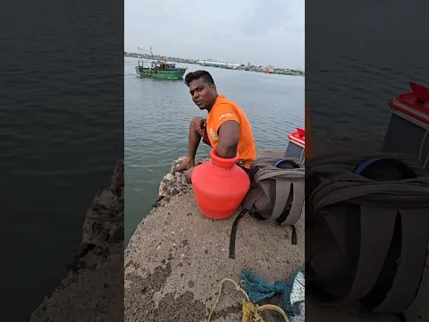 Amazing Fishing on the Bridge #fishing #fishingvideos #thoondilulagam #seafishing
